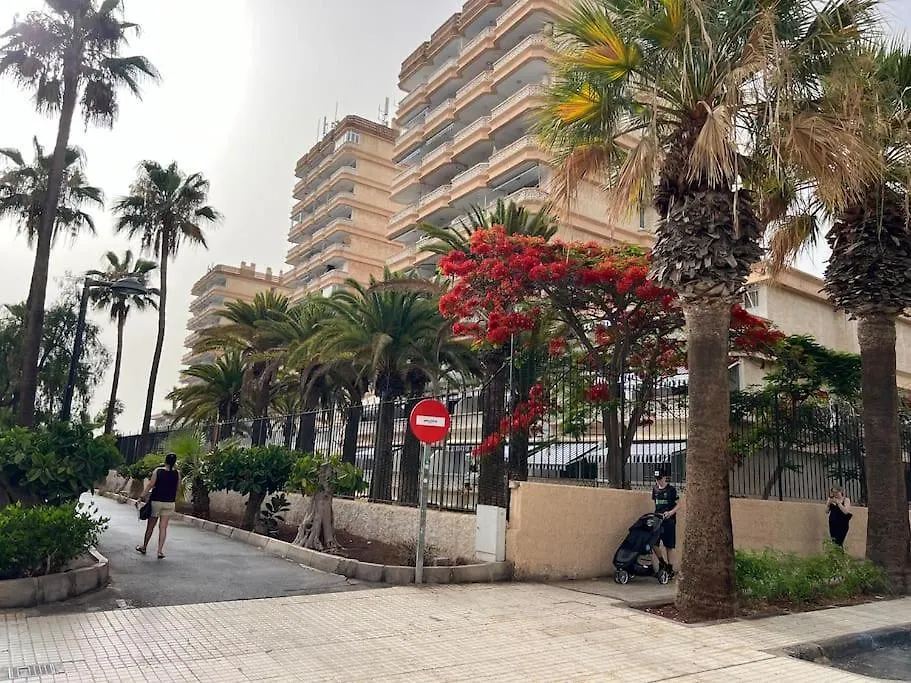 Apartment Las Americas Playa Honda Playa de las Americas   Playa de las Americas (Tenerife)